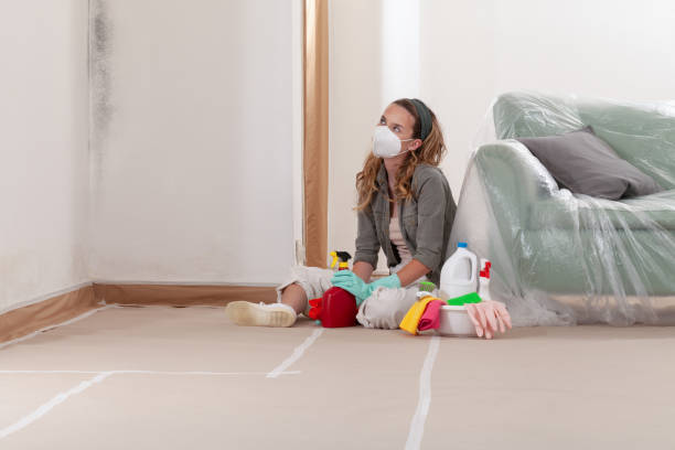 Reliable Mold Remediation contractor in Antioch, IL by 24 Hour Mold Removal